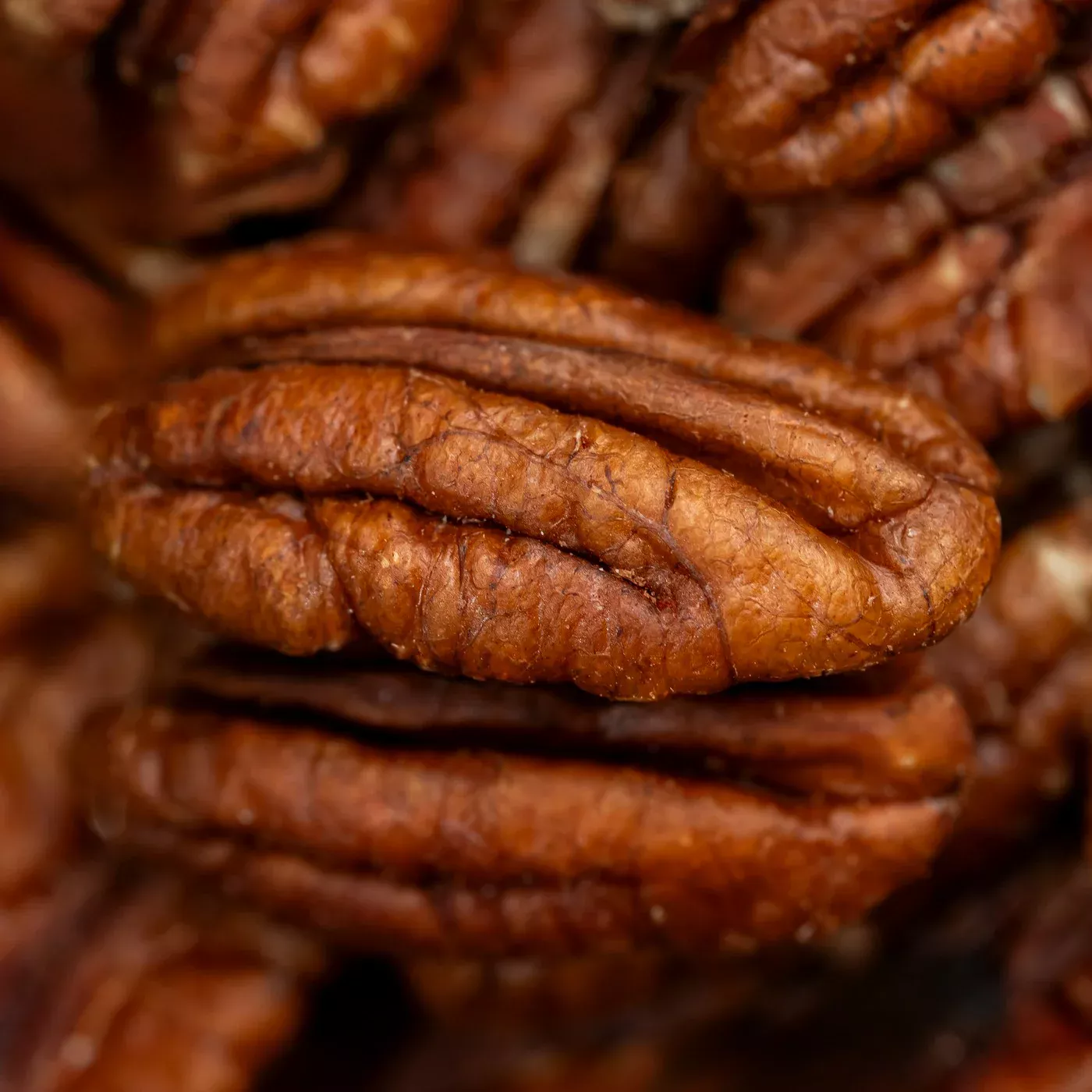 Roasted Salted Pecans - 100 gm