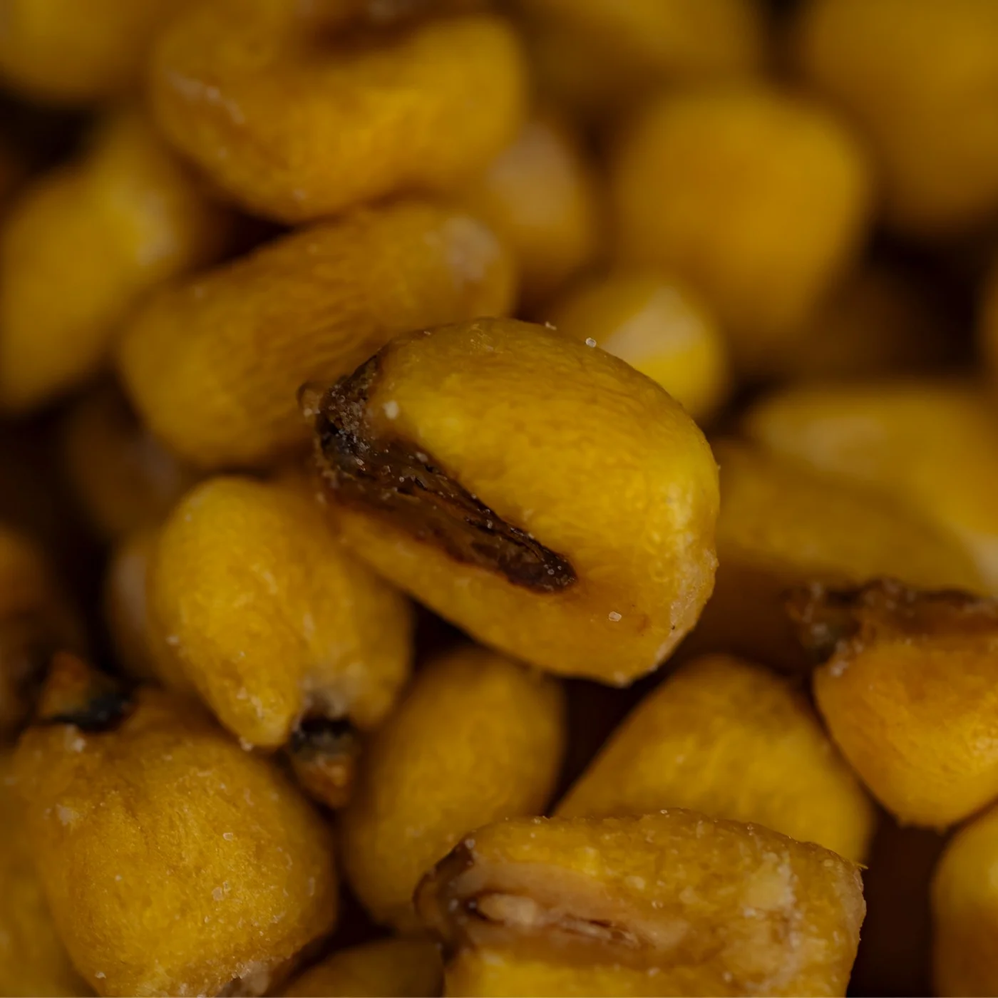 Egyptian Salted Corn - 100 gm