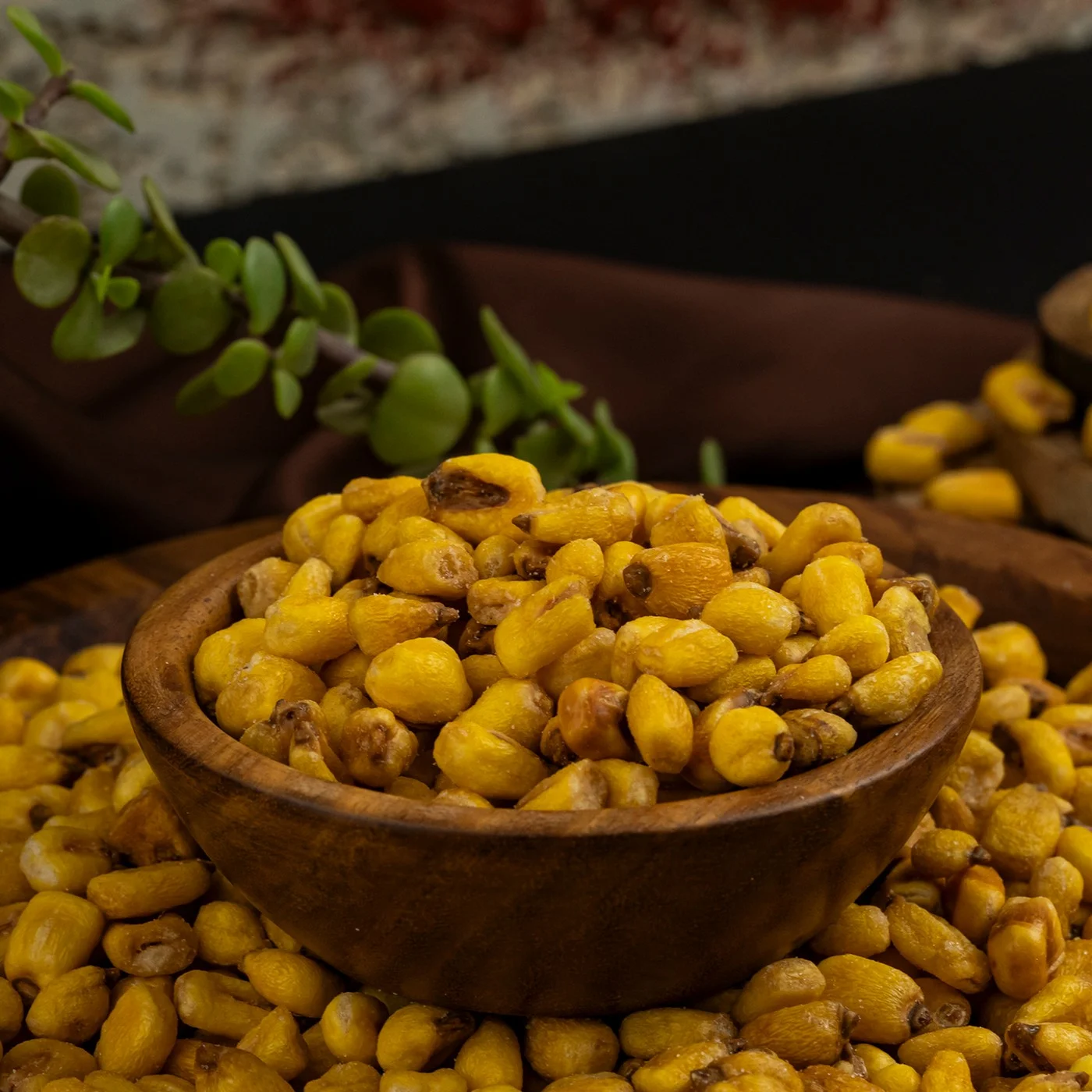 Egyptian Salted Corn - 100 gm