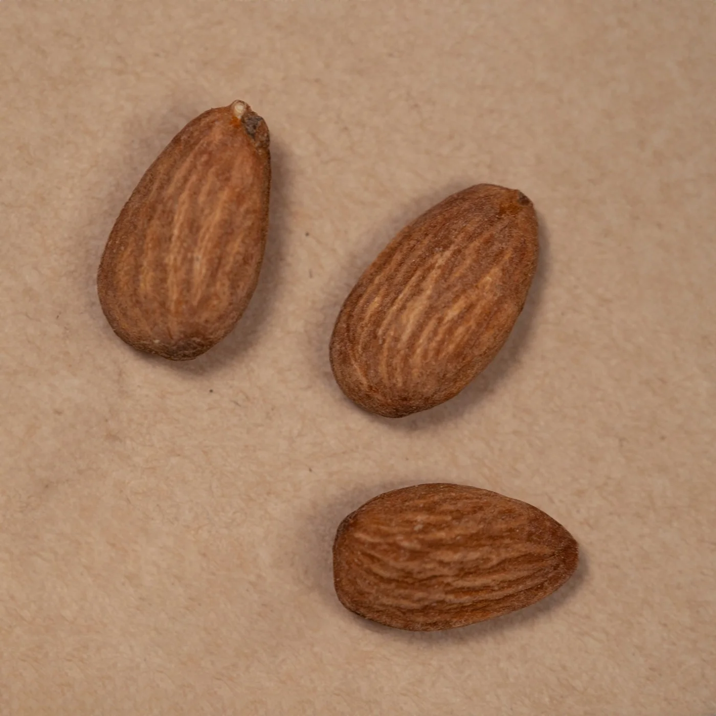 Pack of Roasted & Salted Almond - 50 gm