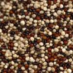 Quinoa Tri-Color - 400 gm