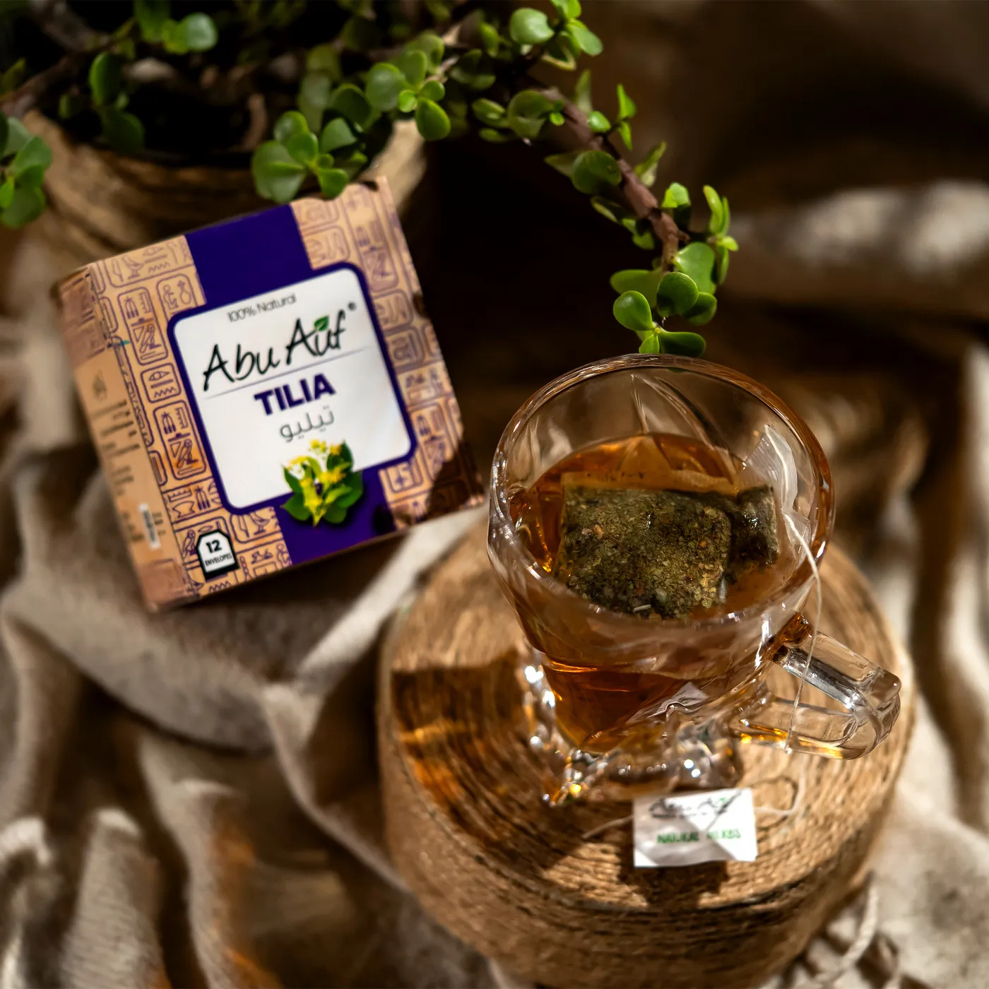 تيليو- 12باكت