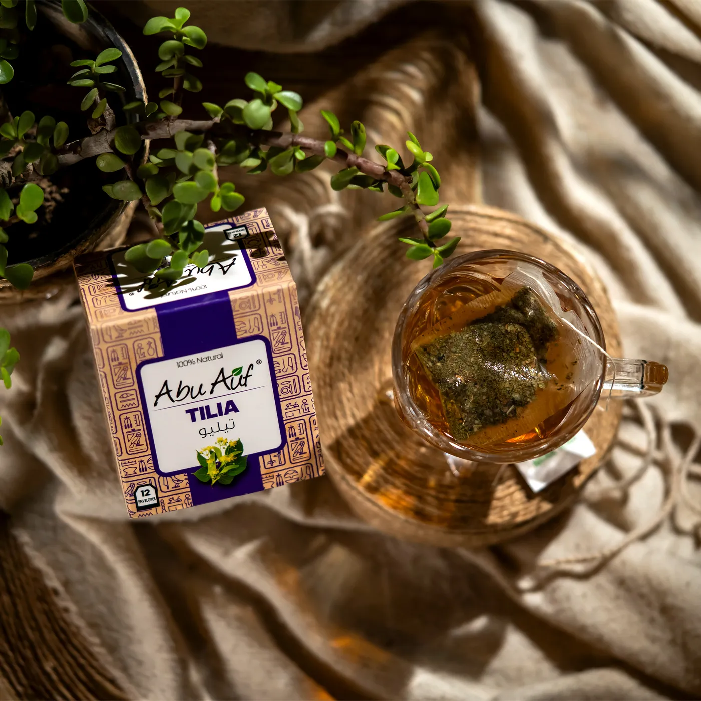 تيليو- 12باكت