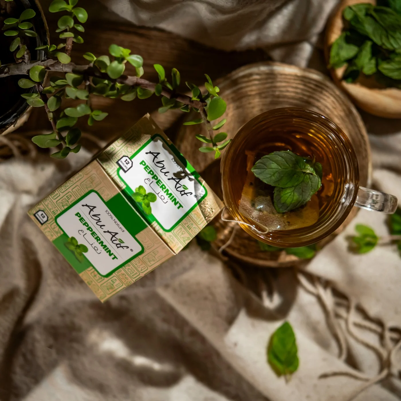 نعناع - 12 باكيت