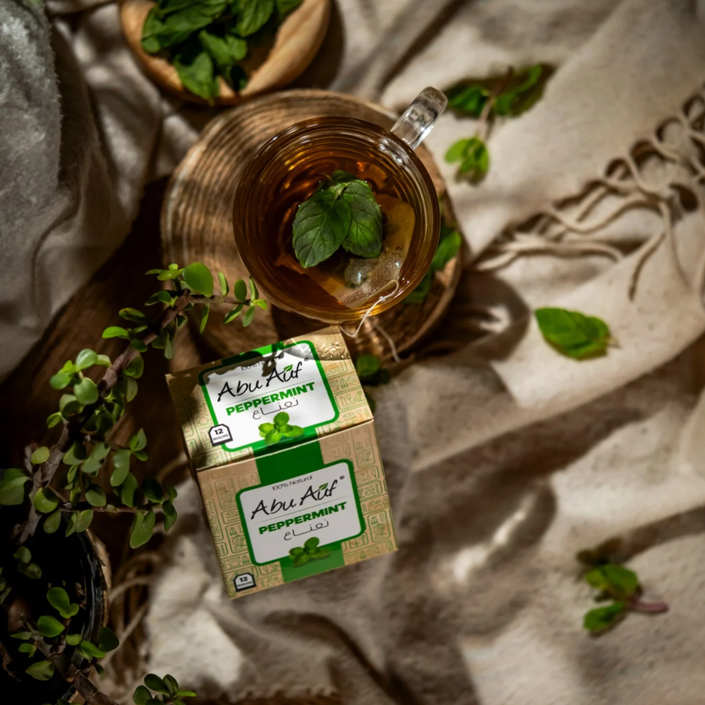 نعناع - 12 باكيت