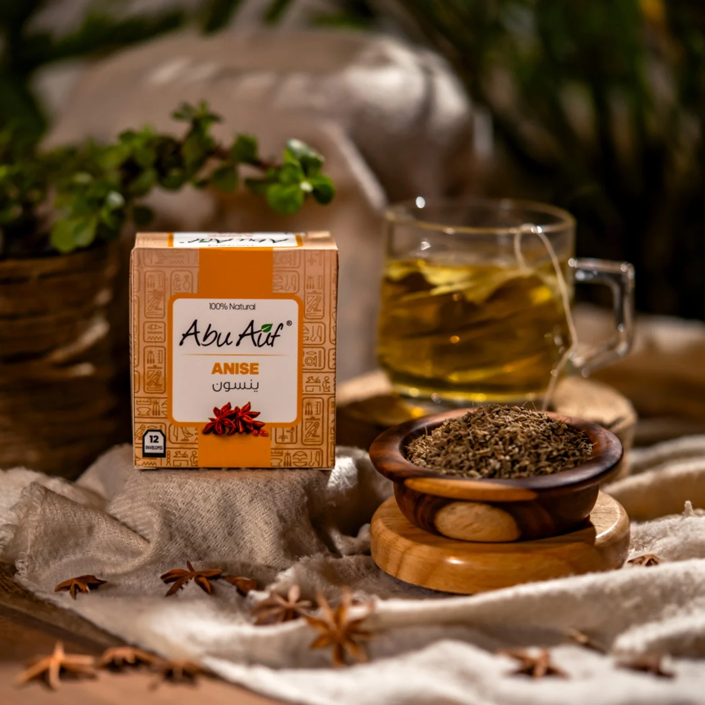 ينسون - 12 باكيت