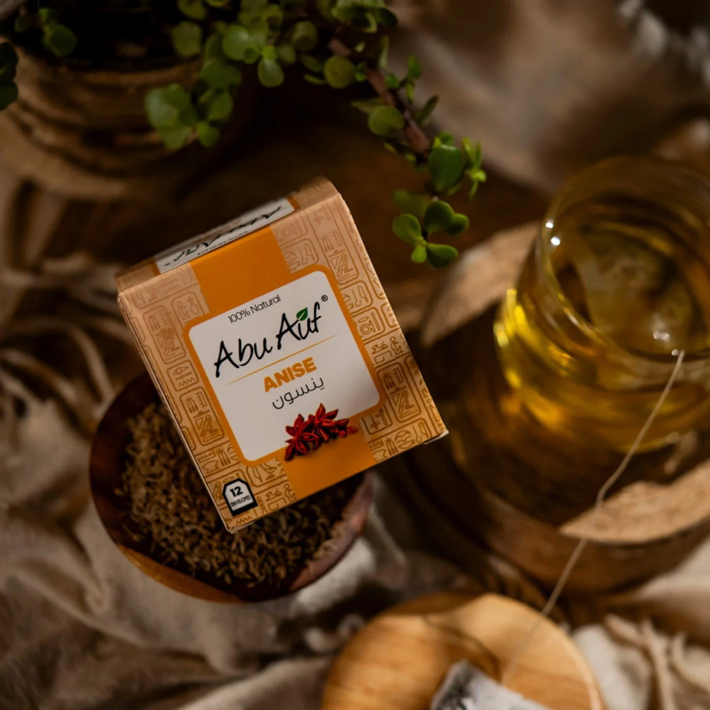 ينسون - 12 باكيت