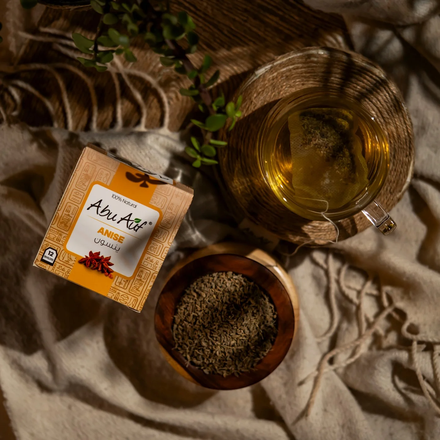 ينسون - 12 باكيت