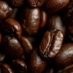 Protein Bar Cocoa Coffee & Chocolate - 70 gm