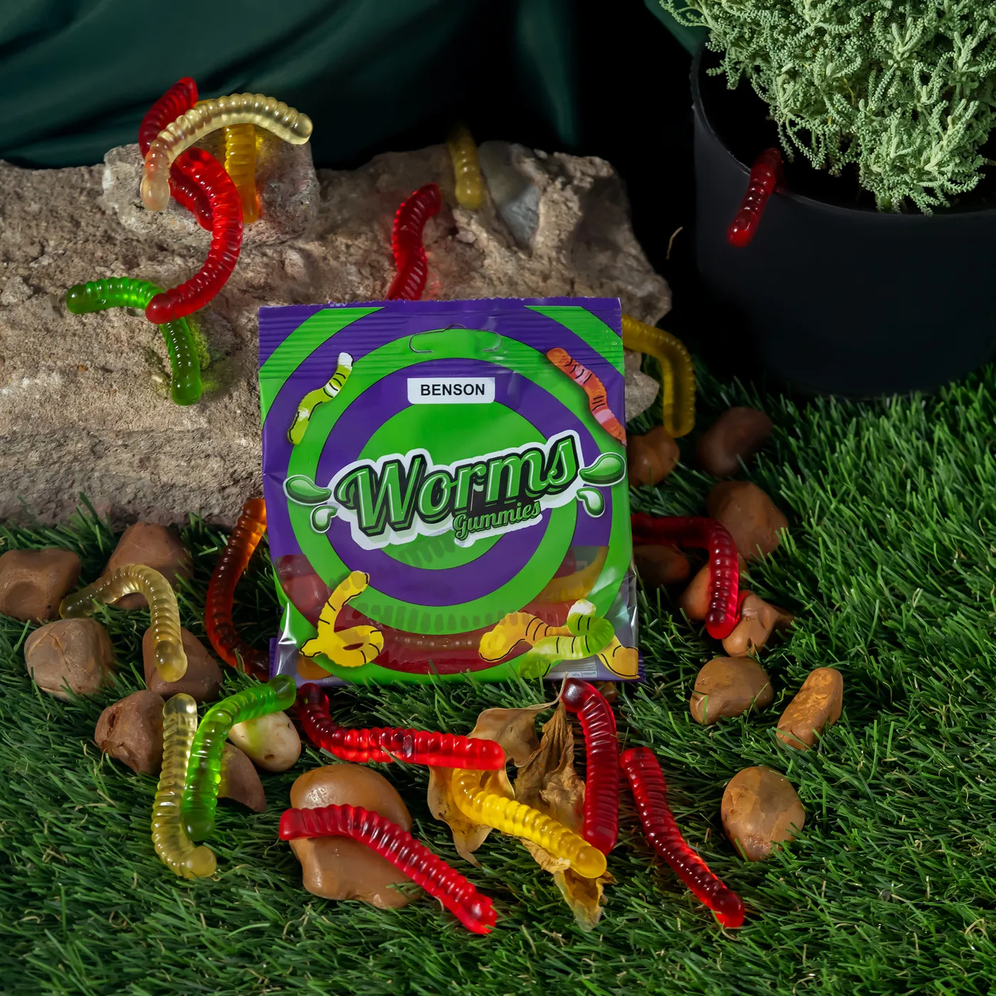 جيلى بينسون دودة -65 جم