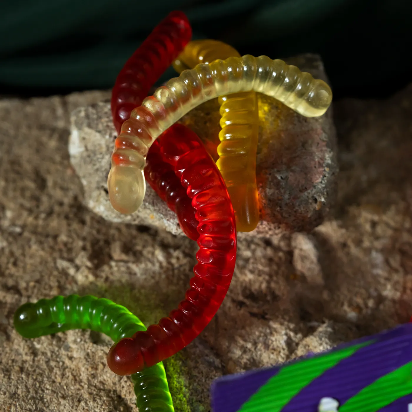 جيلى بينسون دودة -65 جم