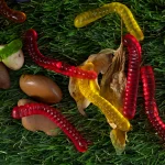 Jelly Benson Warms 65 Gm