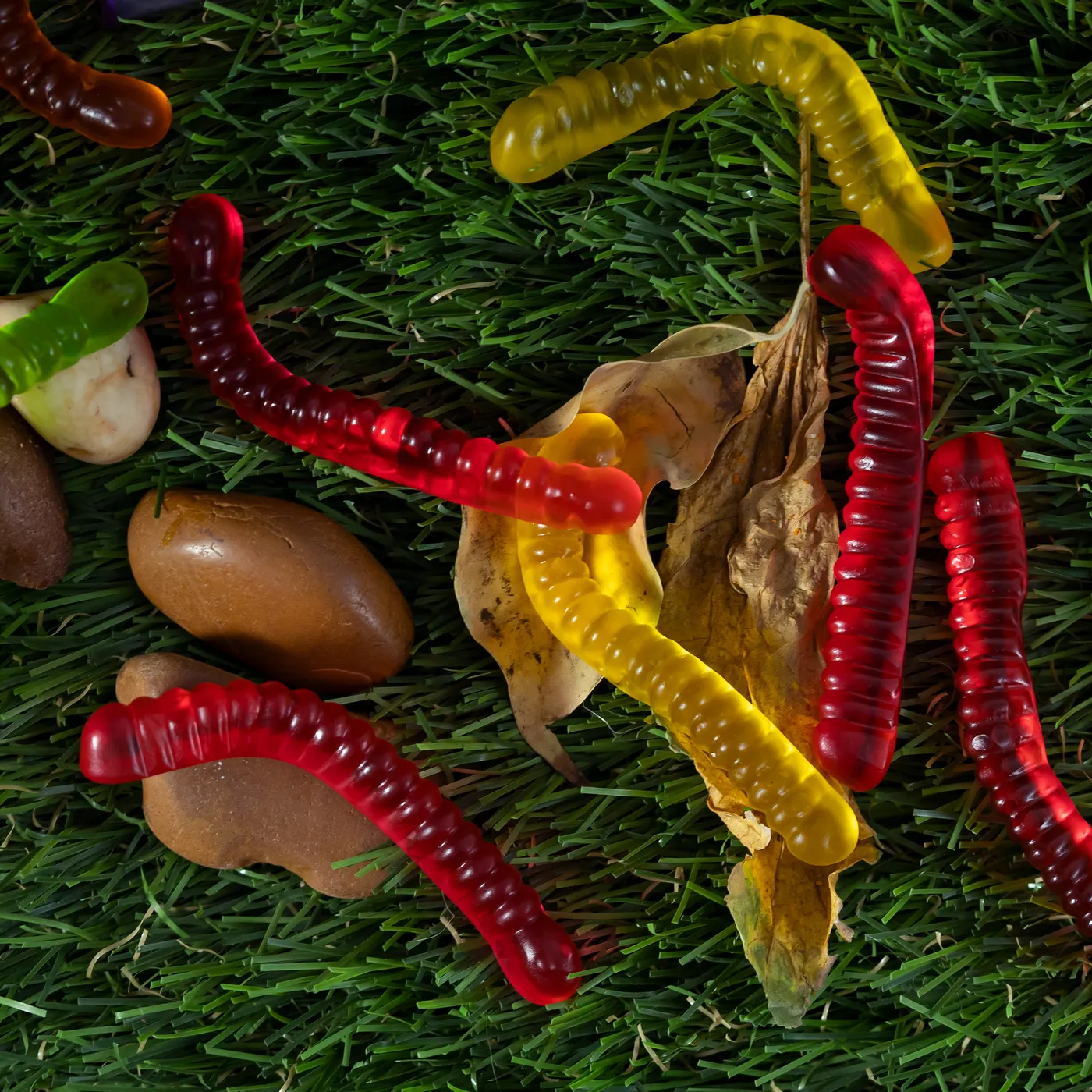 جيلى بينسون دودة -65 جم