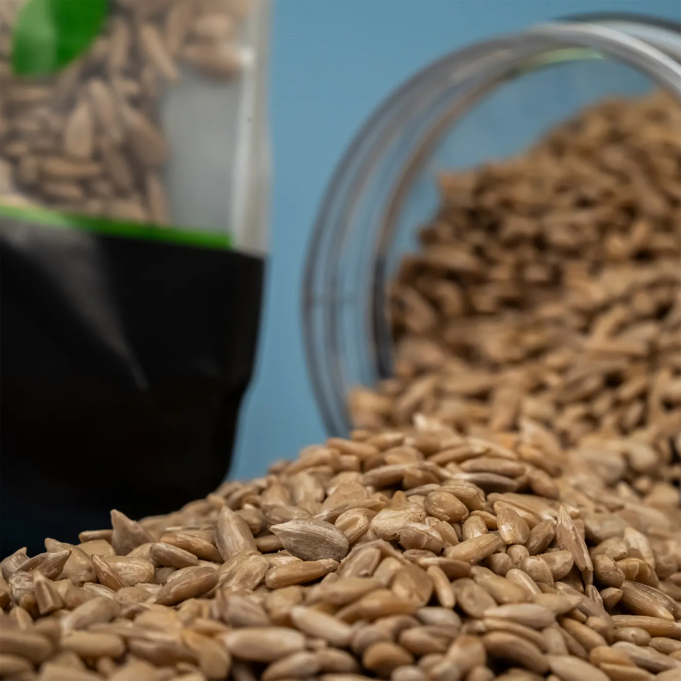 Raw Sunflower Seeds "Raw" – 450 g