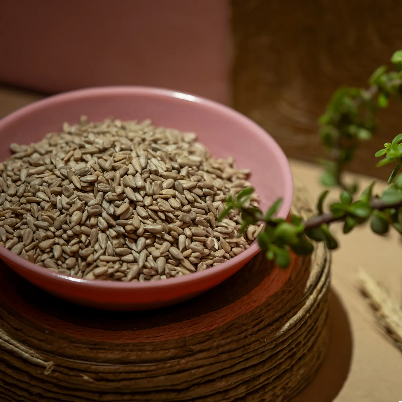 Raw Sunflower Seeds "Raw" – 450 g