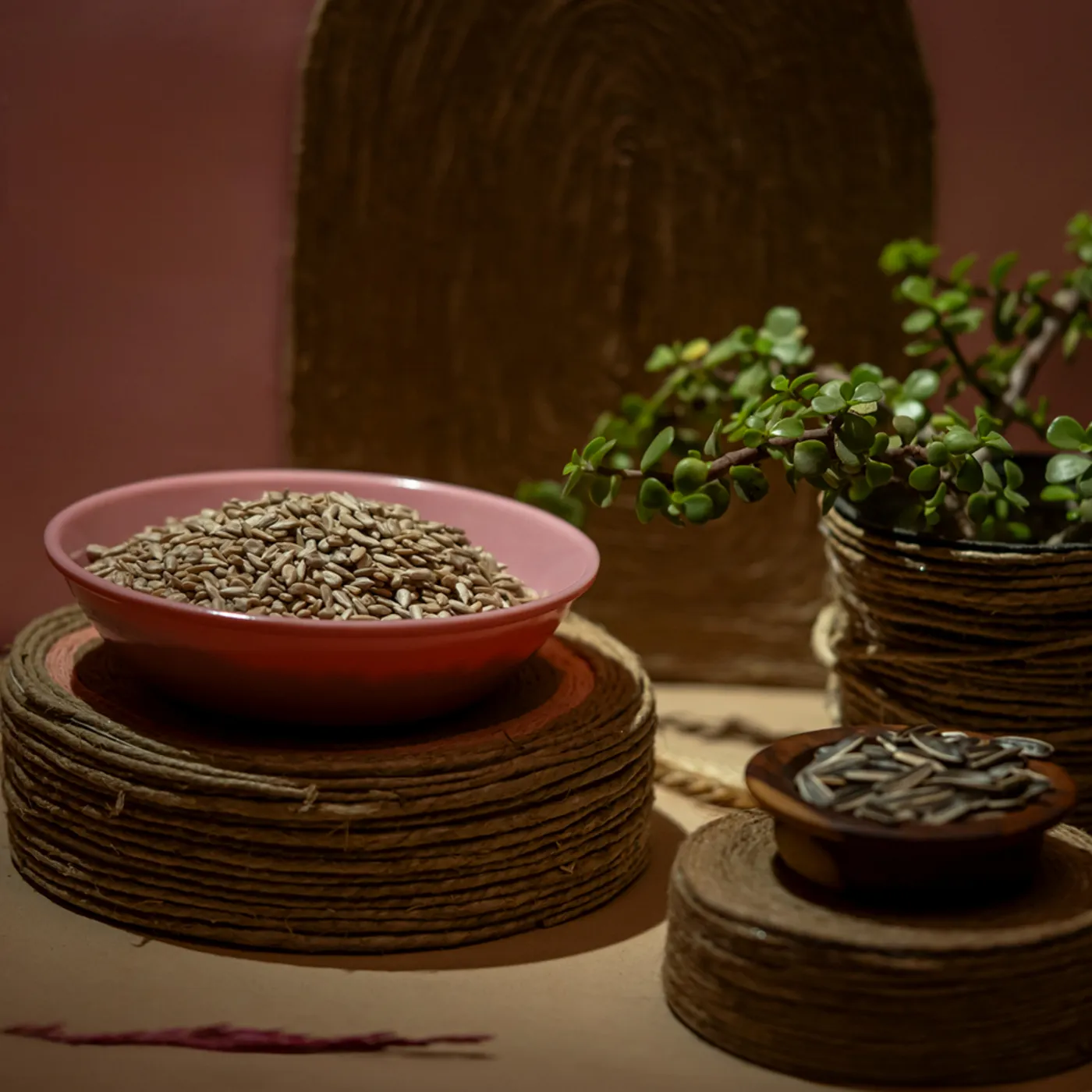 Raw Sunflower Seeds "Raw" – 450 g