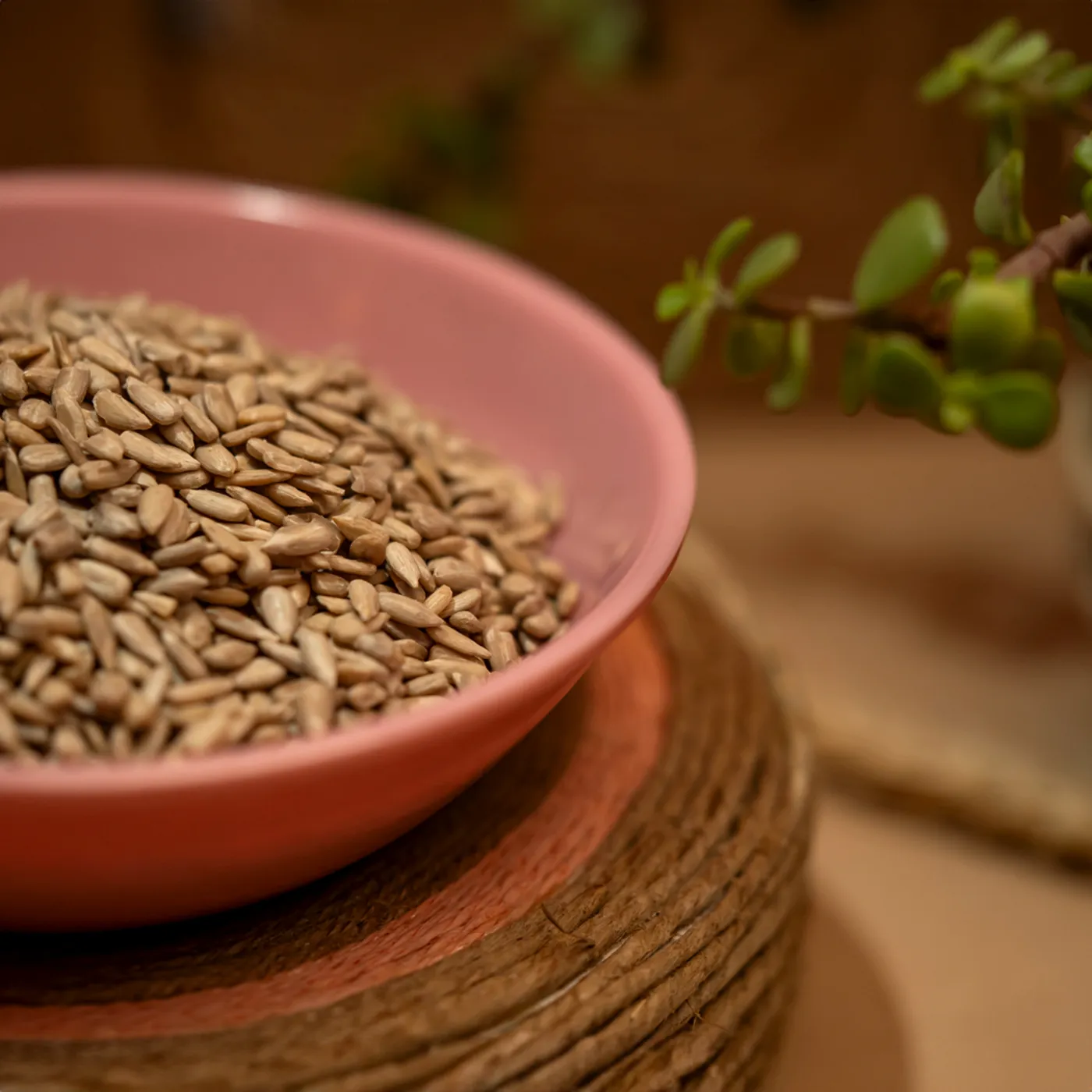 Raw Sunflower Seeds "Raw" – 450 g