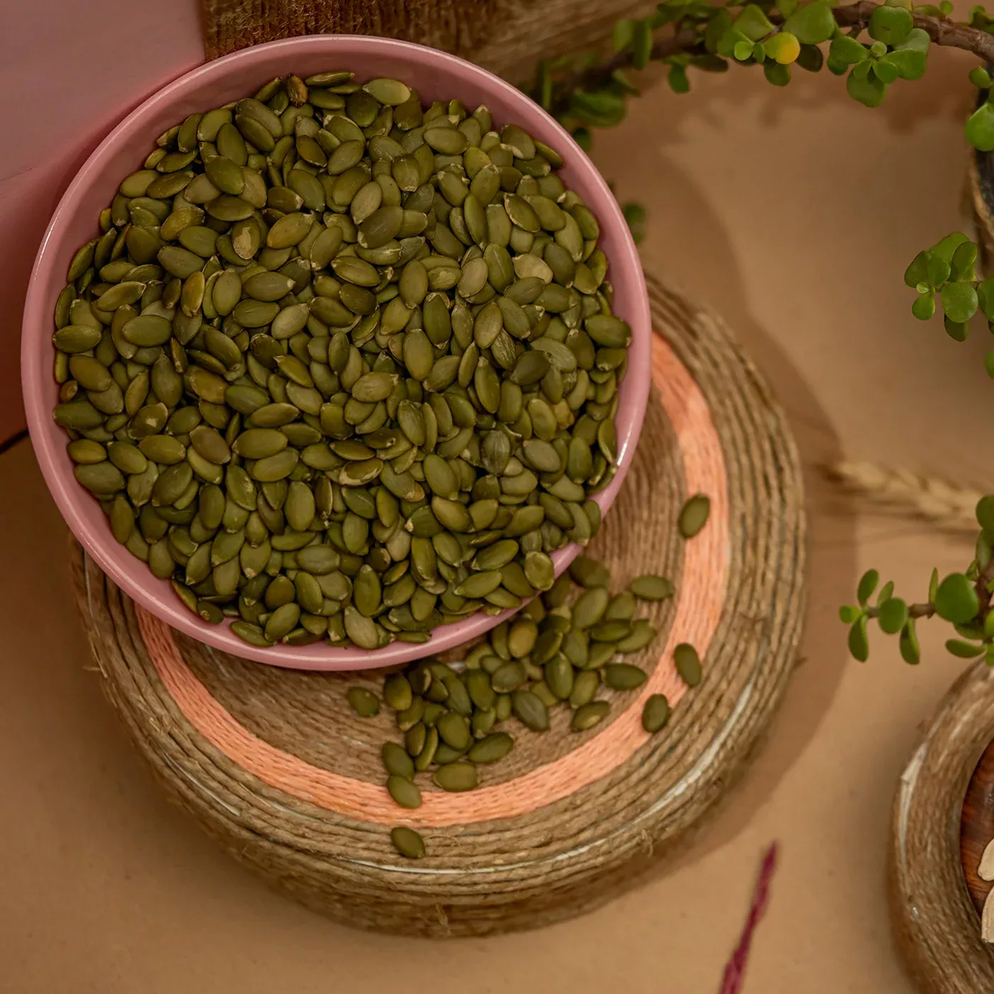 Peeled Pumpkin Seeds (Raw) - 450 GM